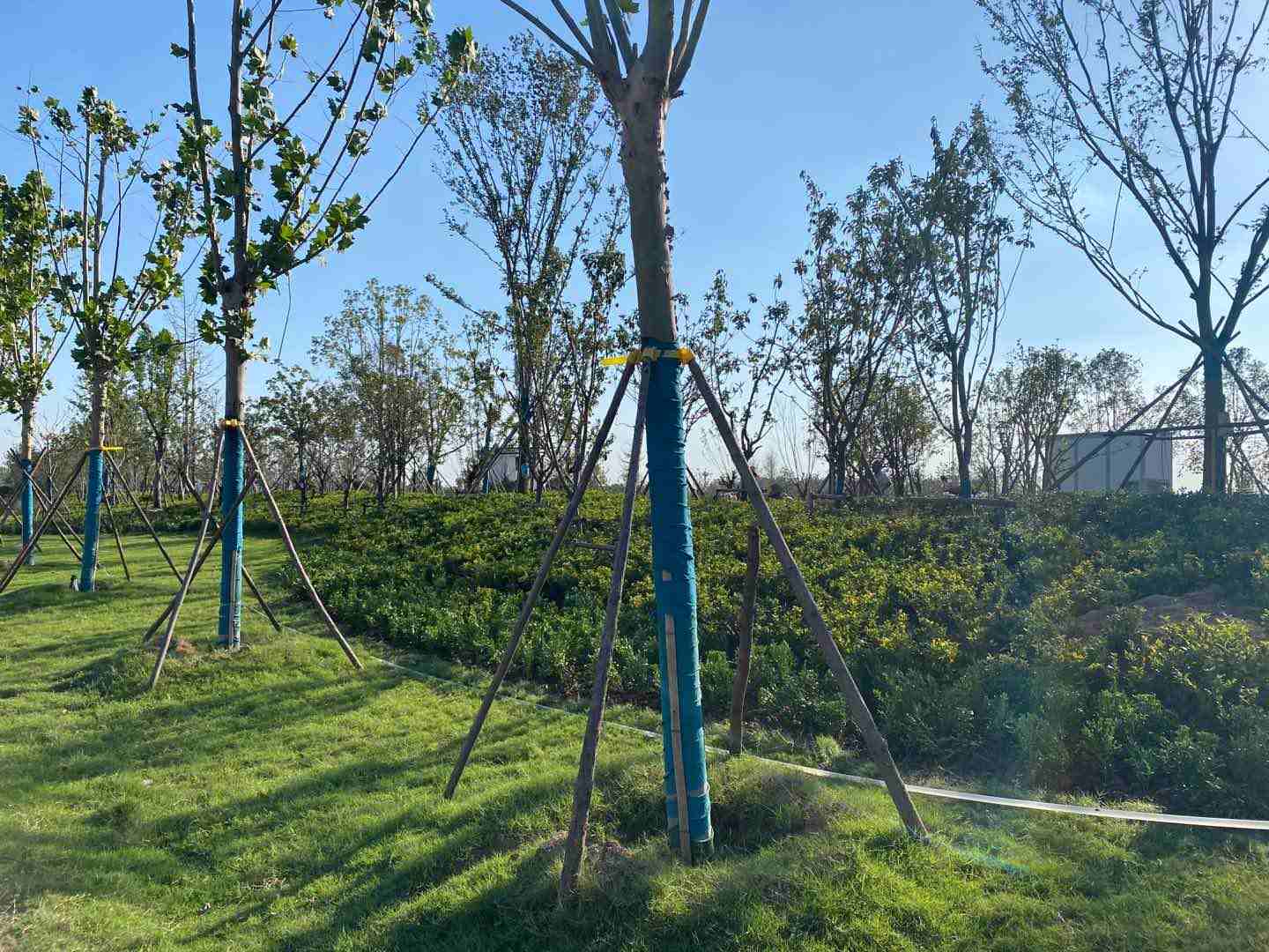 vRHչ(xing)Ŀ-013
